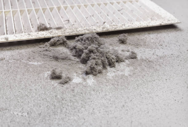 Best HVAC Duct Inspection Services  in Kimberly, AL