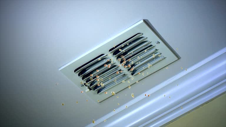 Best HVAC Maintenance and Cleaning  in Kimberly, AL
